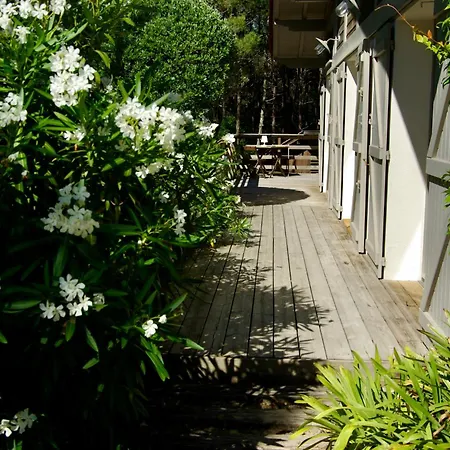 Villa Avec Piscine Chauffee A La Pointe Lège-Cap-Ferret